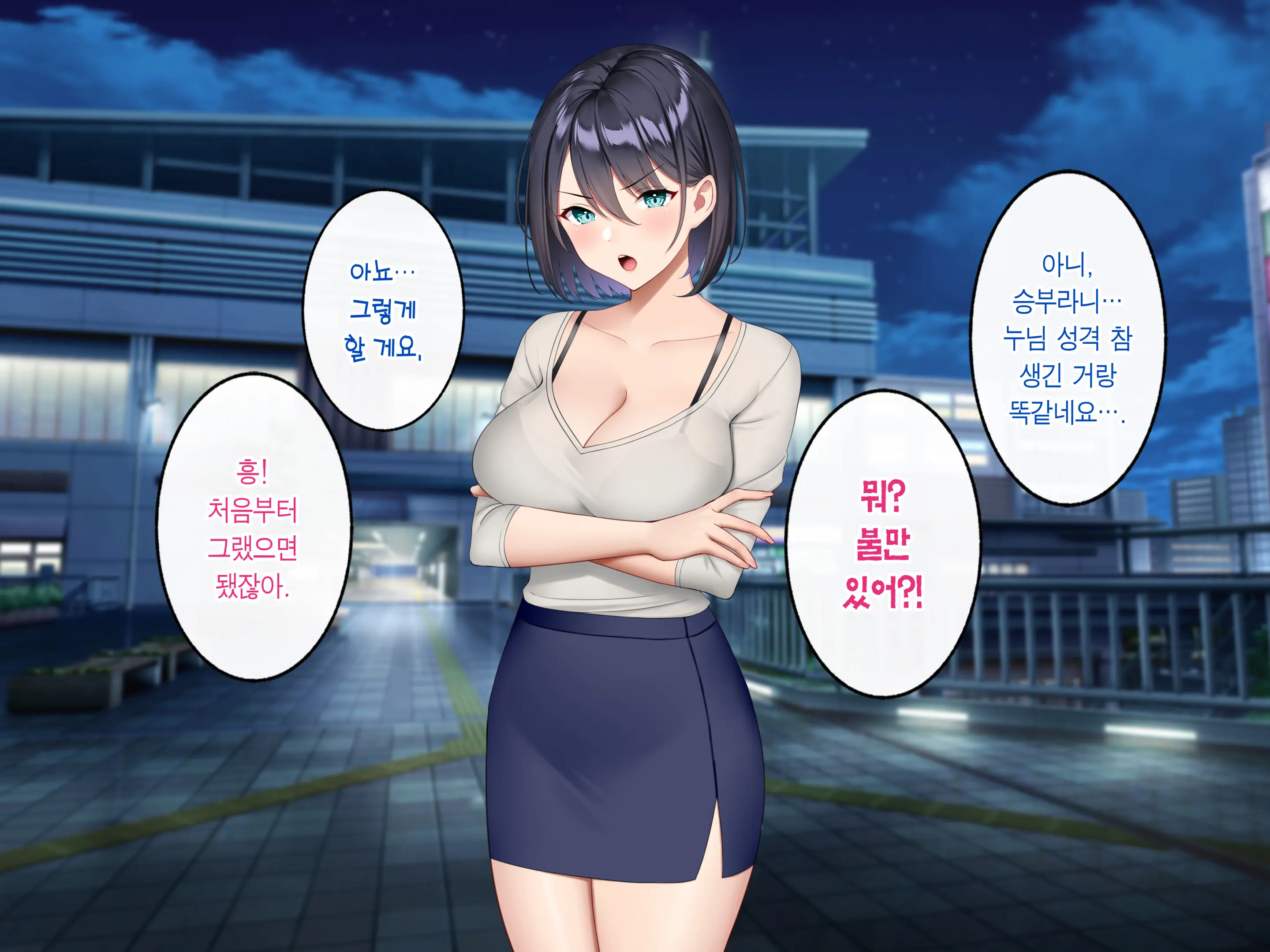 Gyaku Chikan Zuki No Bijin OL O Gyaku Ni Otoshite Hamemakutta Hanashi. | 역치한을 좋아하는 미녀 OL을 역으로 타락시켜 마구 섹스한 이야기.